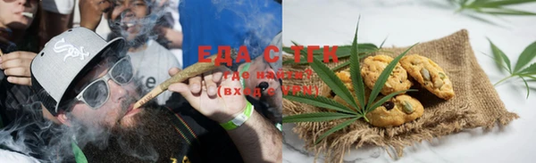 сатива Коряжма
