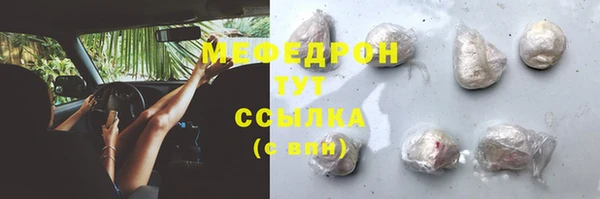 сатива Коряжма
