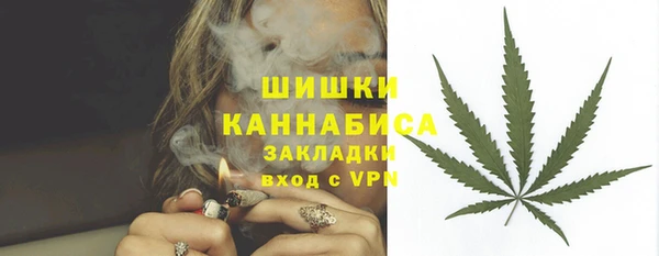 сатива Коряжма