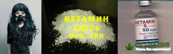 сатива Коряжма