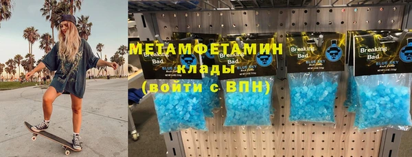 сатива Коряжма