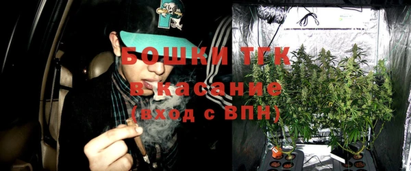 мяу мяу мука Кодинск