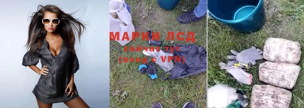 прущие крисы Корсаков