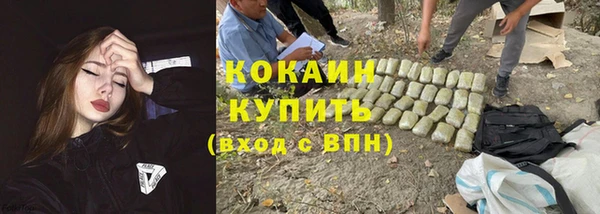 прущие крисы Корсаков