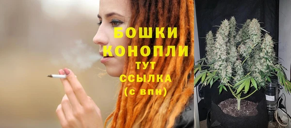 сатива Коряжма