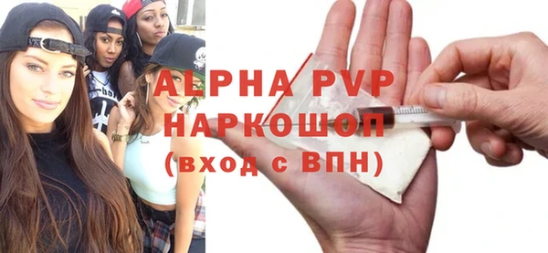 сатива Коряжма